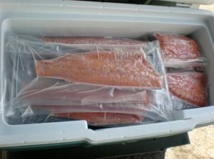 Flash-frozen vacuum-packed Pink salmon fillets-$7.25/lb