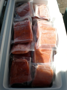 Flash-frozen vacuum-packed Coho salmon fillets