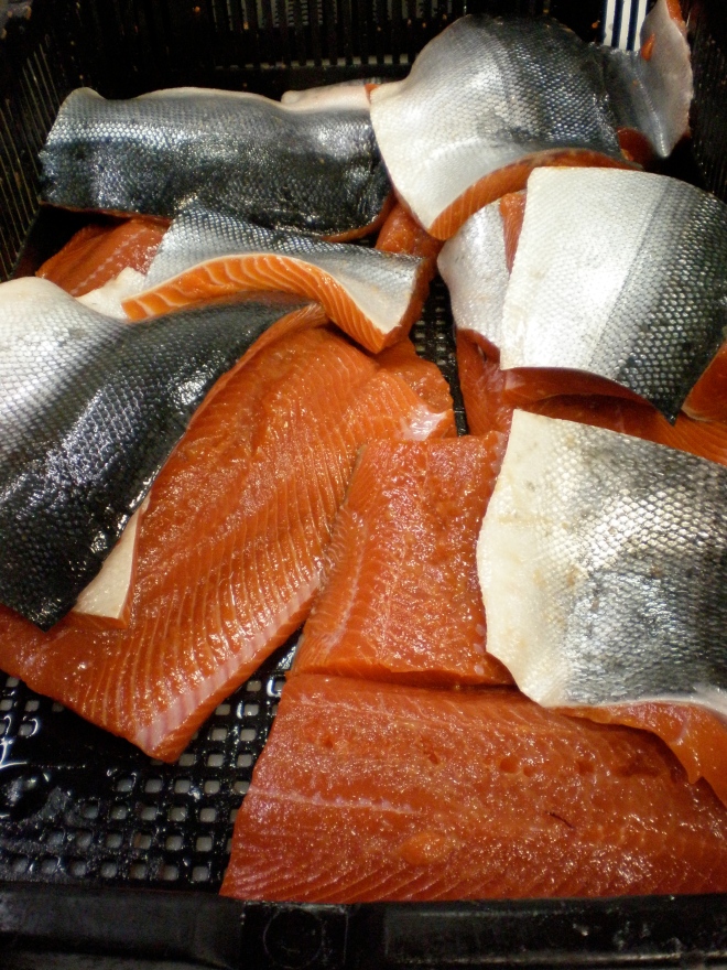 Fresh sockeye fillets portioned and pin-boned for the farmers markets.